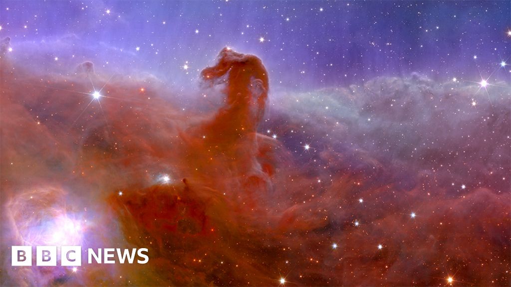 "Euclid Telescope Unveils Stunning Images of the Dark Universe"