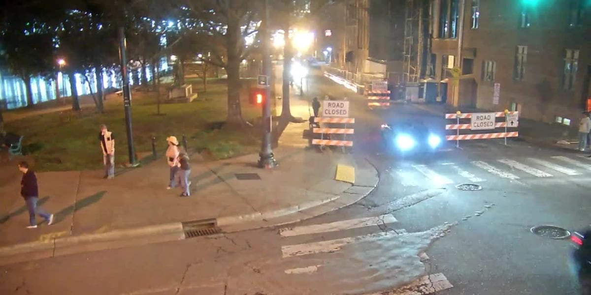 Featured image for Frantic Search for Missing Mizzou Student Riley Strain Leads to Tennessee ABC Investigation