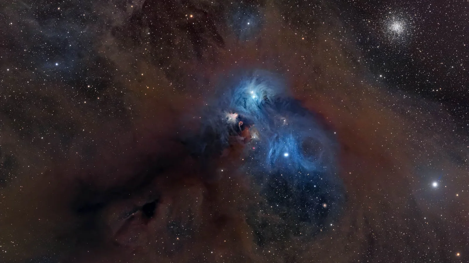 Cosmic Baboon Roars Through Stunning Nebula