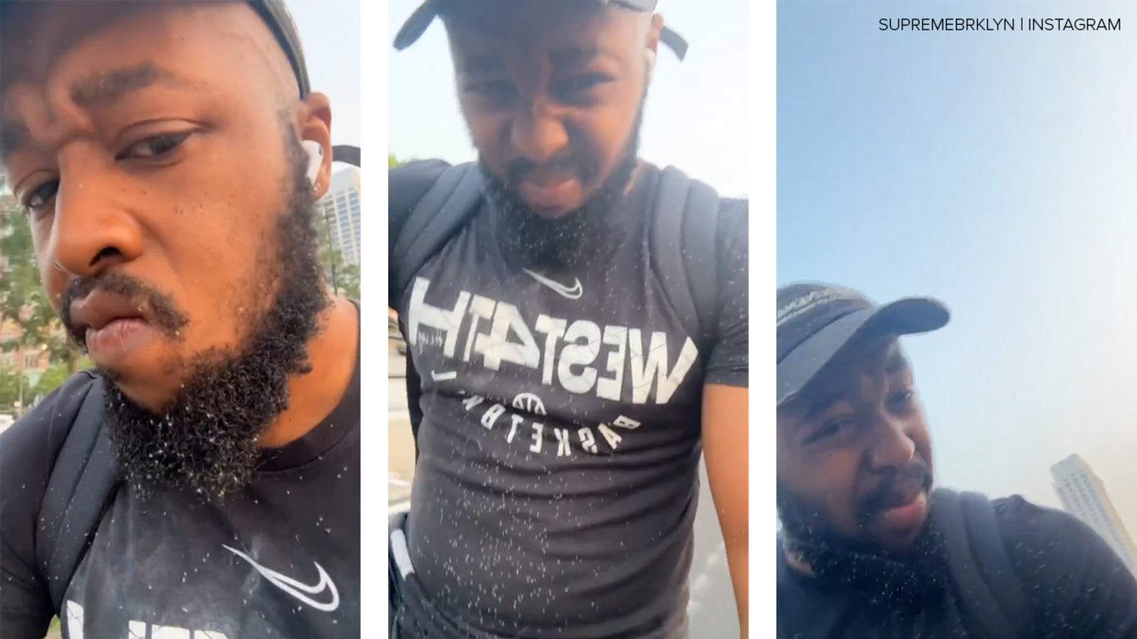 Featured image for Invasion of Winged Aphids: Mysterious Bug Swarms Blanket New York City