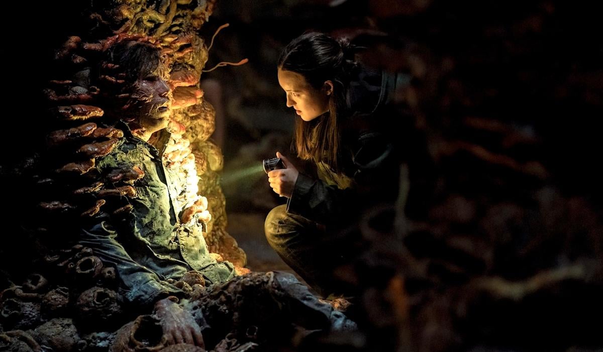 Featured image for Experts Warn of Rapidly Spreading Deadly Fungus Threatening Thousands in the US