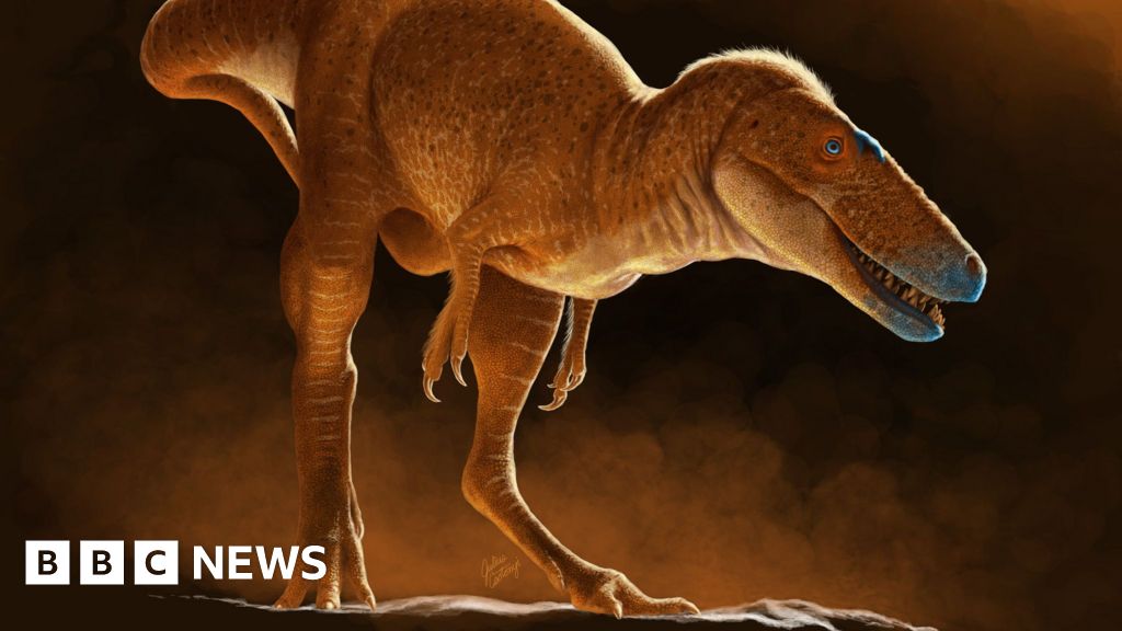 Featured image for New Dinosaur Discoveries Reshape T. Rex Family Tree