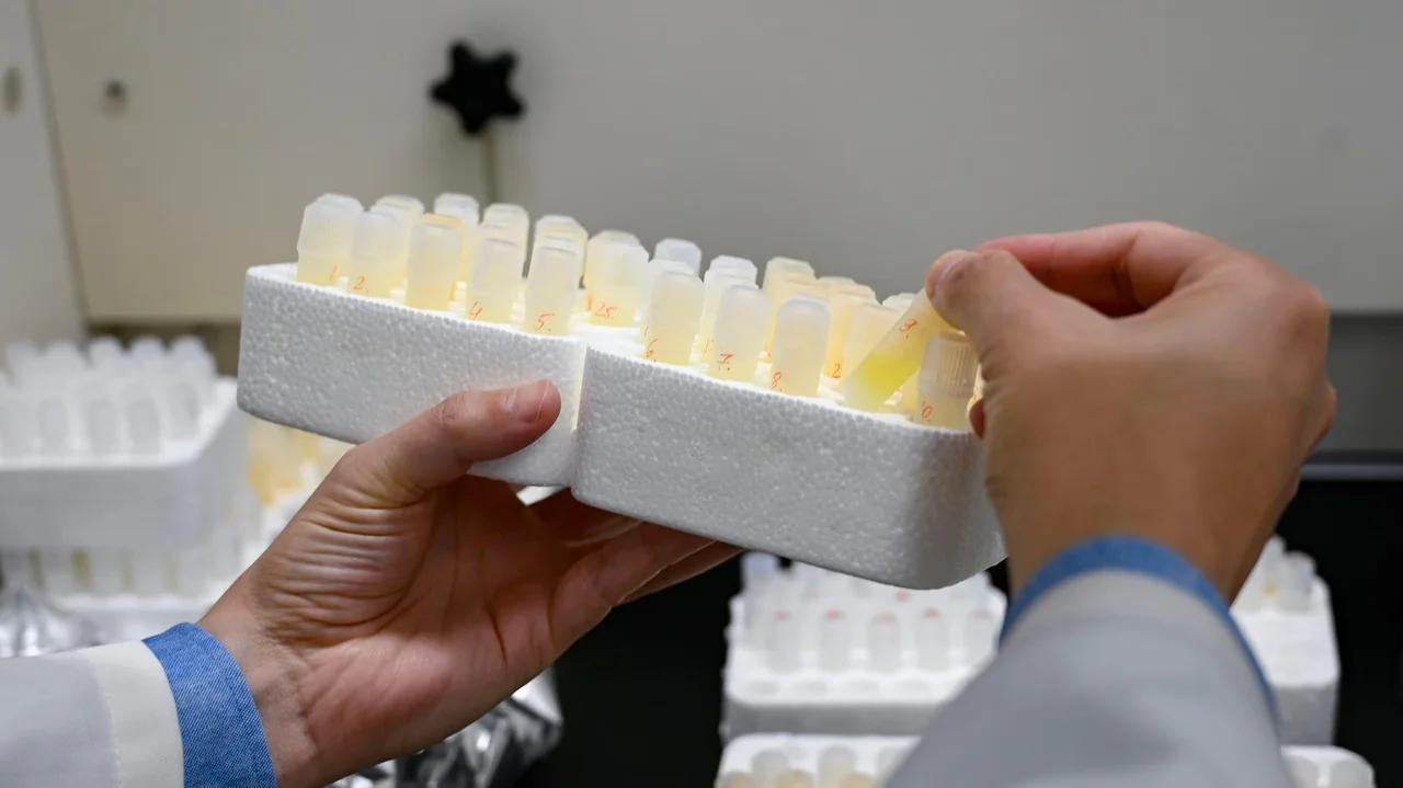 Harvard Study Suggests Lithium Deficiency May Be Key to Alzheimer’s Prevention