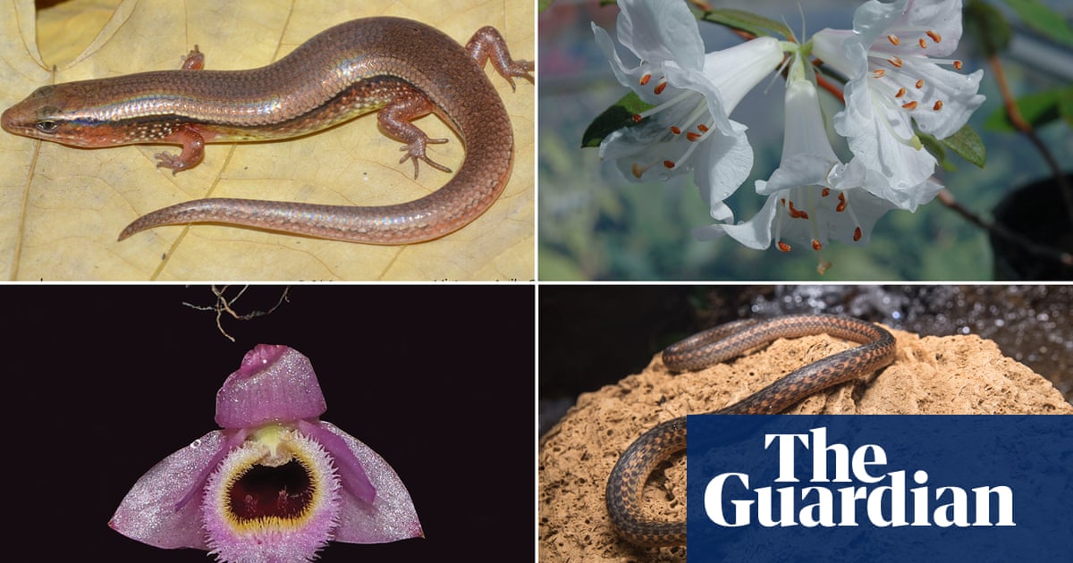 "Discovering 400 New Species in Greater Mekong Region"