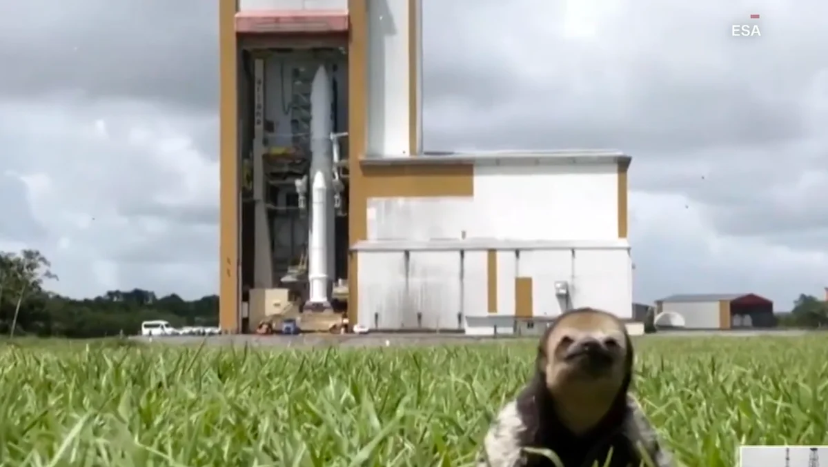 Featured image for Sloth photobombs monumental rocket launch.