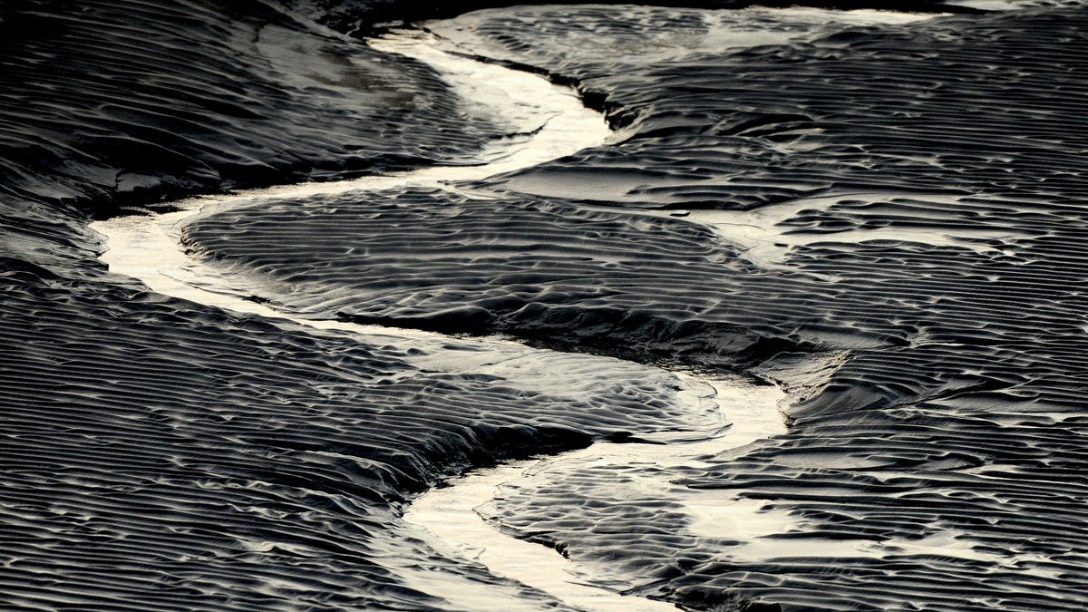 Tragic Drowning of Illinois Man Stuck in Alaska's Mud Flats