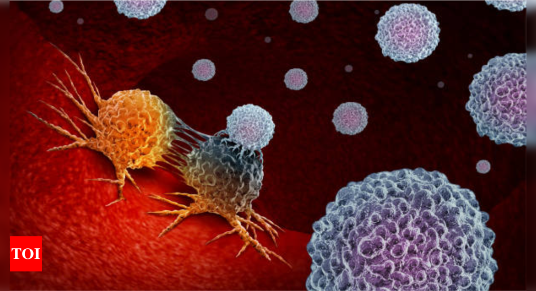 Featured image for Preventing Premature Cancer Deaths: The Impact of Gender Inequality and the Call to Action