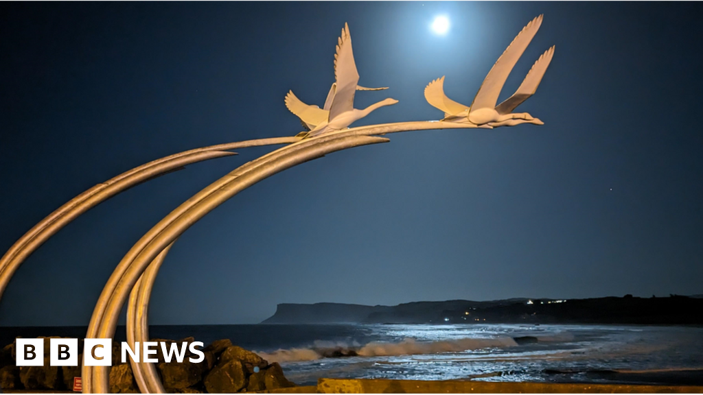 "January 2024: Full Moon's Impact on Zodiac Signs and Skywatchers"