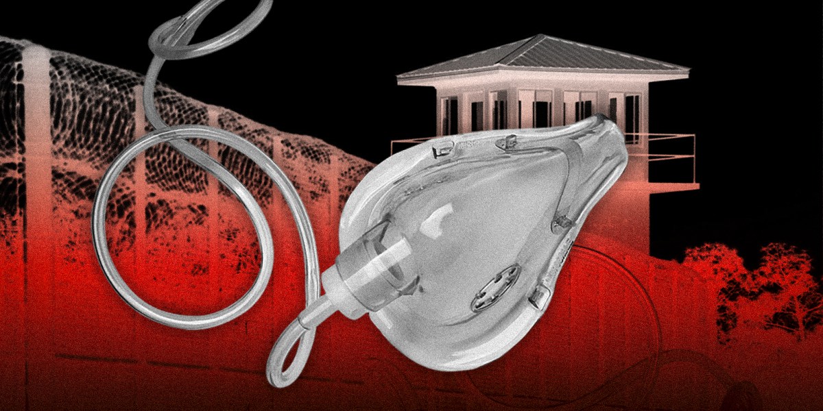 "Controversy Surrounds Alabama's First Nitrogen Gas Execution"