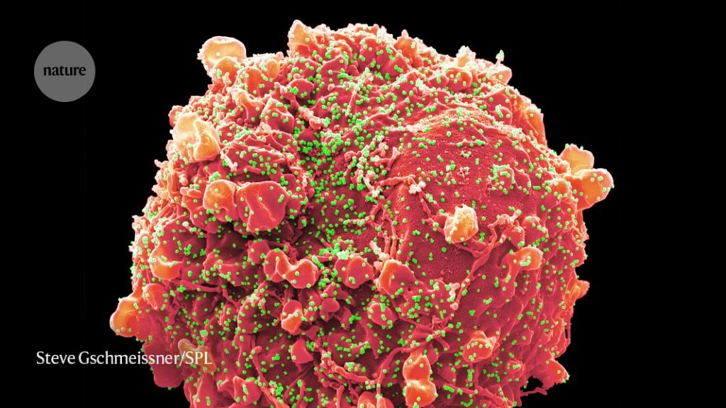 Featured image for COVID-19: Risks, Immunity, and Hospital Infections