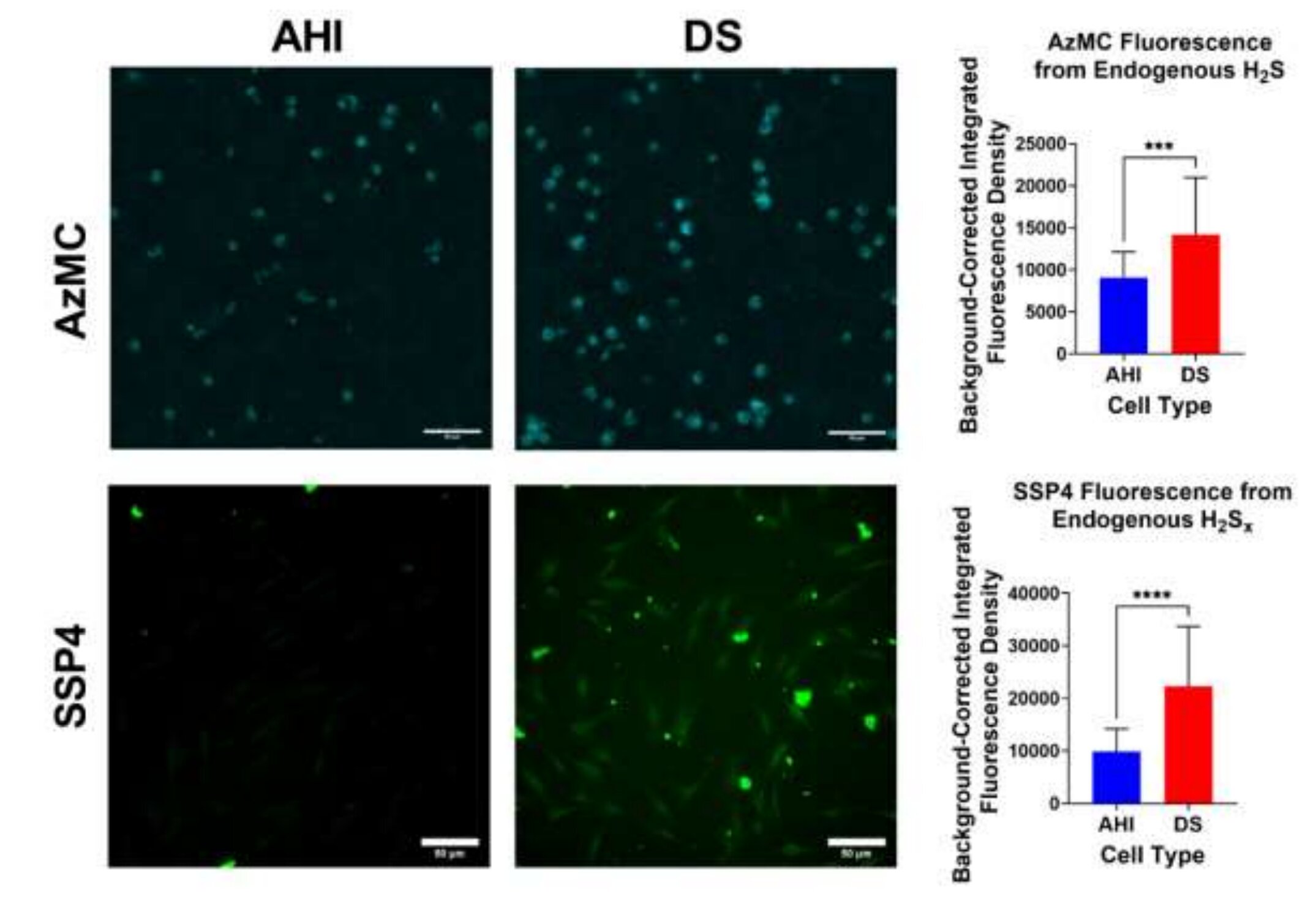 Featured image for "Revolutionary Treatment: Nano-sized Carbon Material Offers Hope for Down Syndrome"