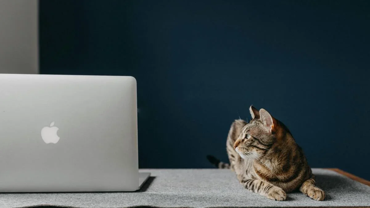 AdGuard Lifetime Plan: Ad-Free Browsing on 9 Devices for $15.97