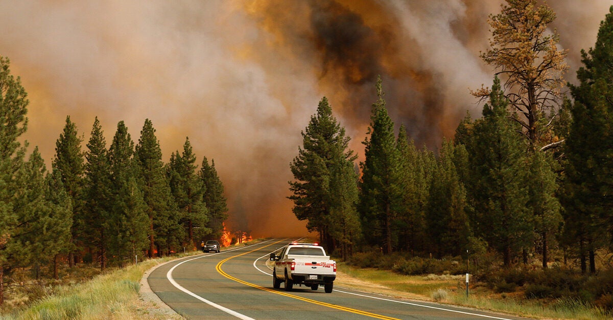 "N95 Masks: Essential Protection Against COVID-19 and Wildfire Smoke"