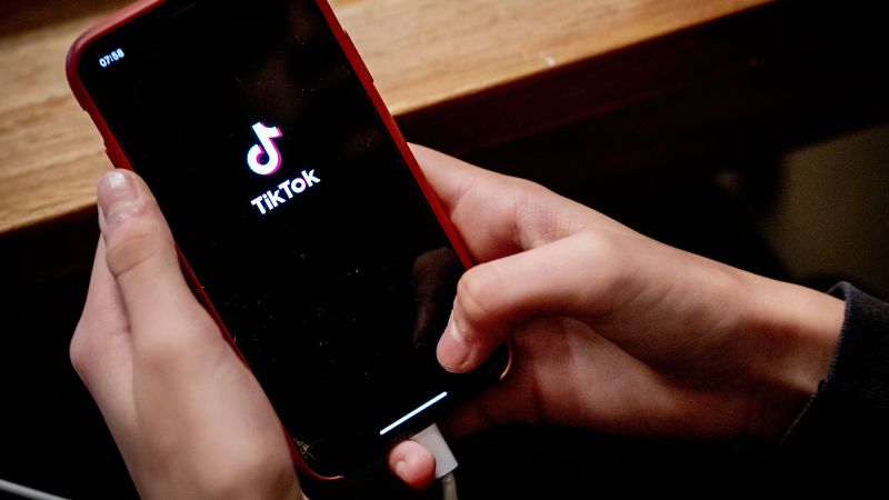The Legal Battle Over TikTok: Victories, Bans, and Constitutional Concerns