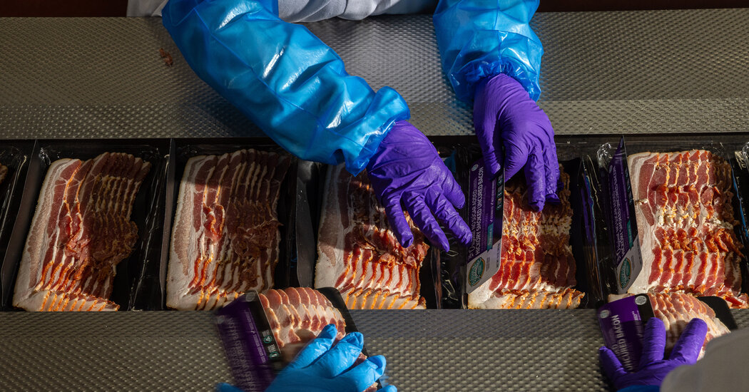 Featured image for Navigating the Regulatory Rollercoaster: Challenges for the Pork Industry