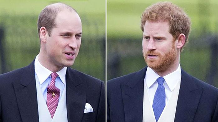 "Prince Harry and Prince William: A Slightly Opened Door"