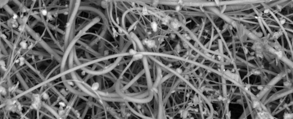 New Study Finds We Inhale Significantly More Microplastics Than Previously Thought