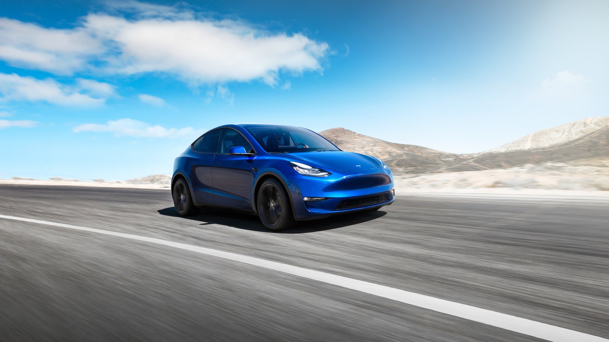 "Tesla's Troubles: A Bear's Warning and Stock Decline"