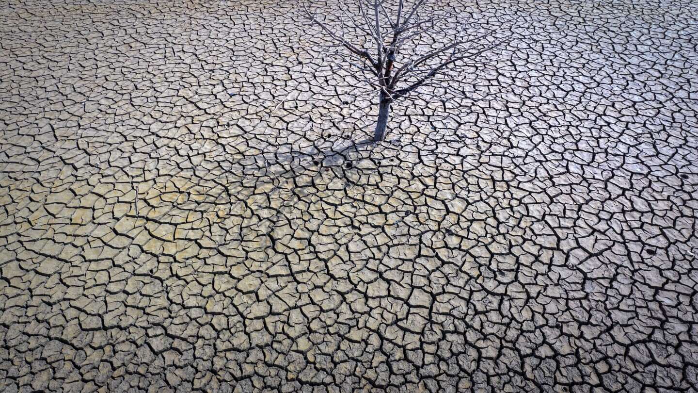 Featured image for 2023: Earth's Hottest Year on Record