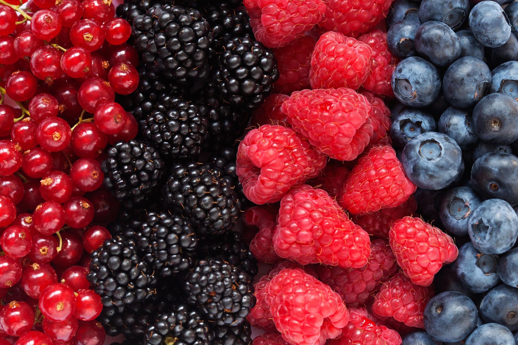 Featured image for Consuming Flavonoid-Rich Foods May Promote Longevity and Healthy Aging