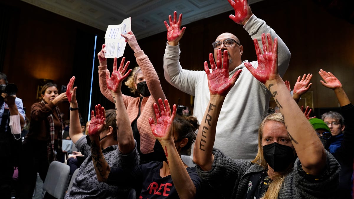 Pro-Palestinian Protesters Demand Cease-Fire, Disrupt Senate Hearing