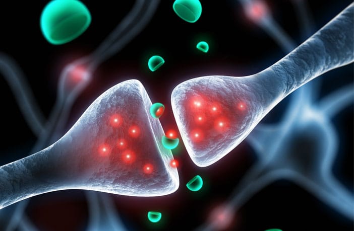 "Unveiling the Link: Serotonin Receptors and Cognitive Enhancement"