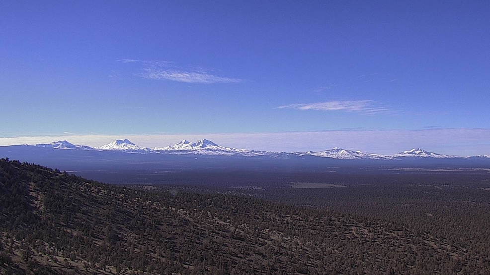 Featured image for "Oregon Resident Contracts Bubonic Plague from Infected Pet Cat"