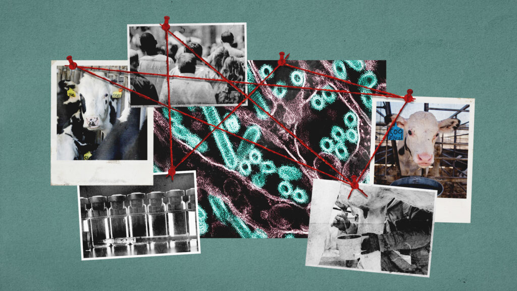 Featured image for "Scientists Seek Answers to Bird Flu Mysteries Amid Heightened Biosecurity"