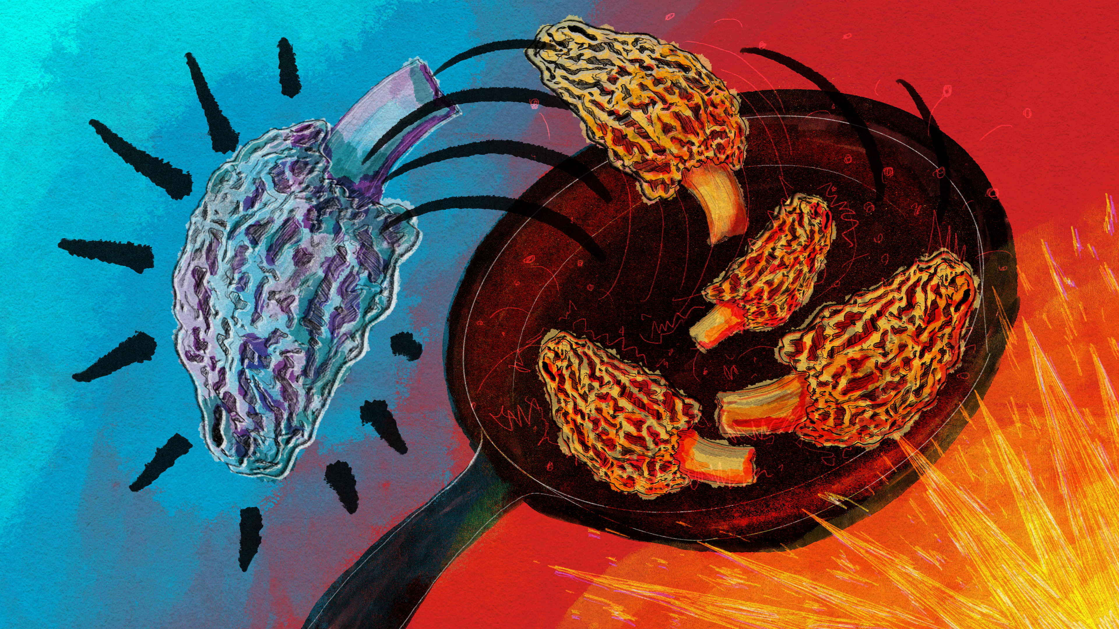 Featured image for "Unraveling the Enigma: Investigating the Morel Mushroom Food Poisoning Outbreak"