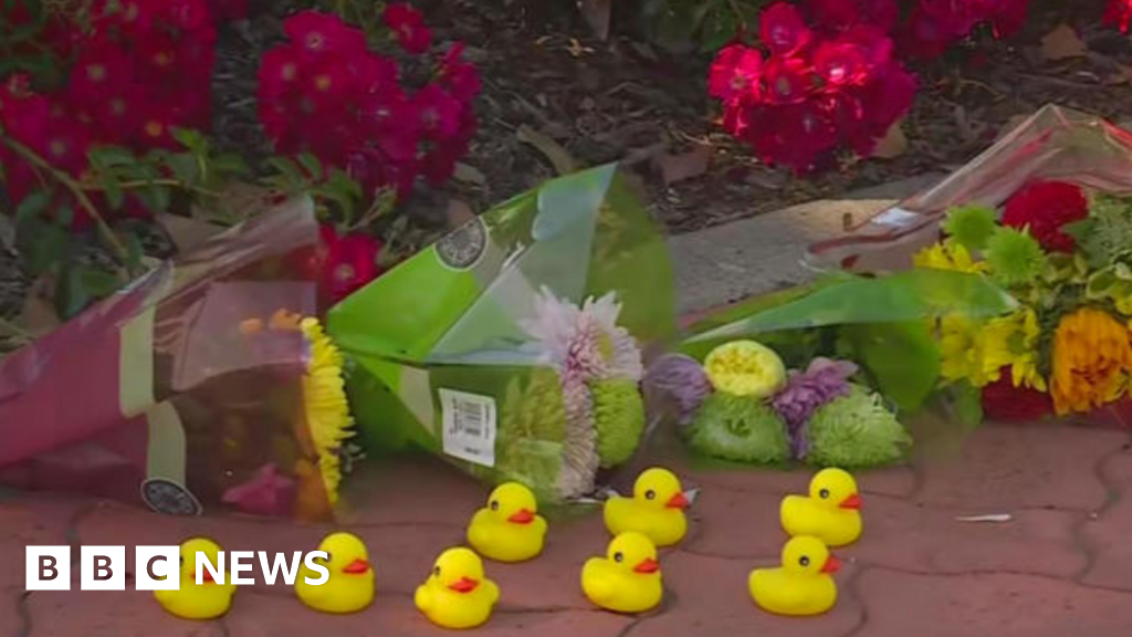 Good Samaritan killed while helping ducks cross California street.