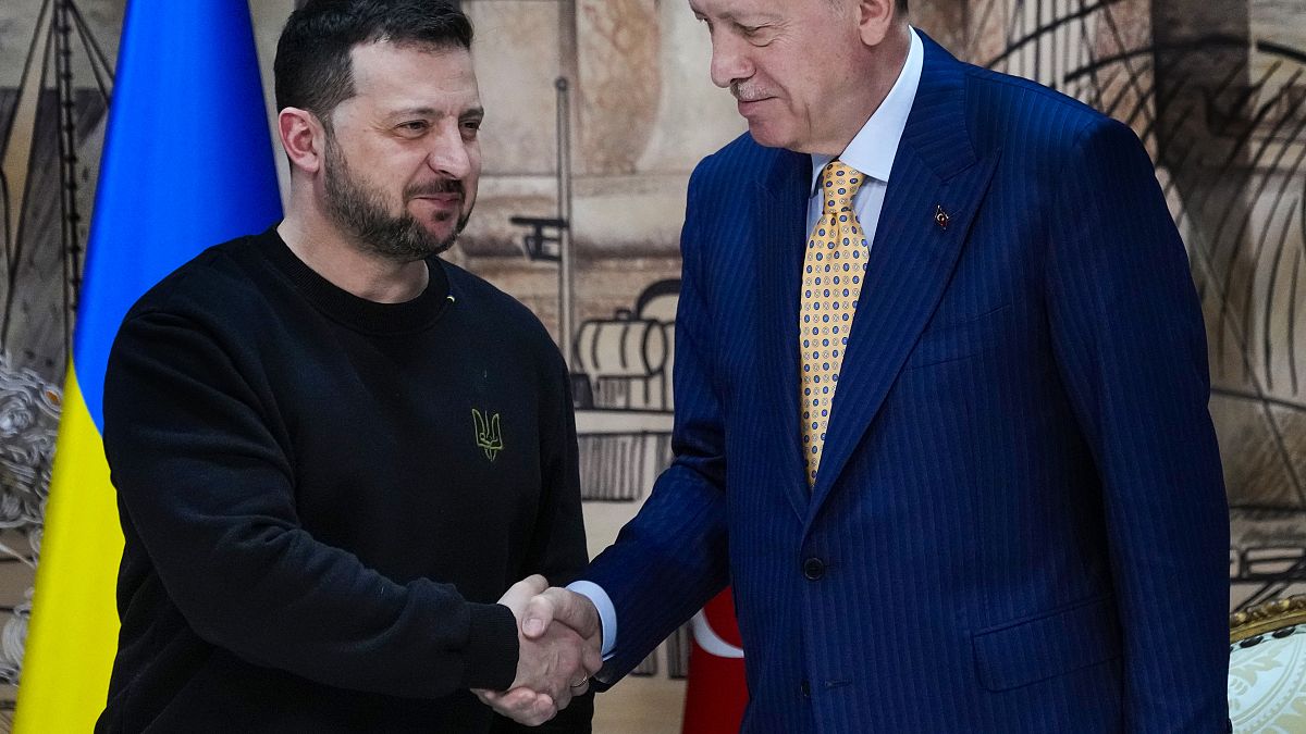 "Erdogan's Offer to Host Ukraine-Russia Peace Talks Discussed by Zelenskyy"