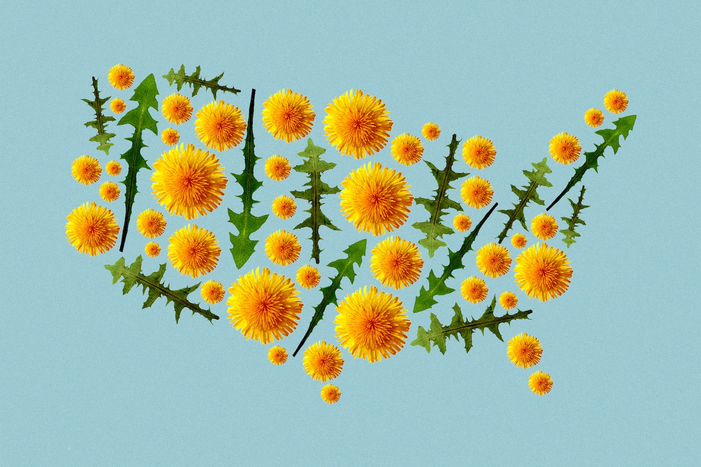 Featured image for 2023's Top US Cities for Seasonal Allergies Revealed.