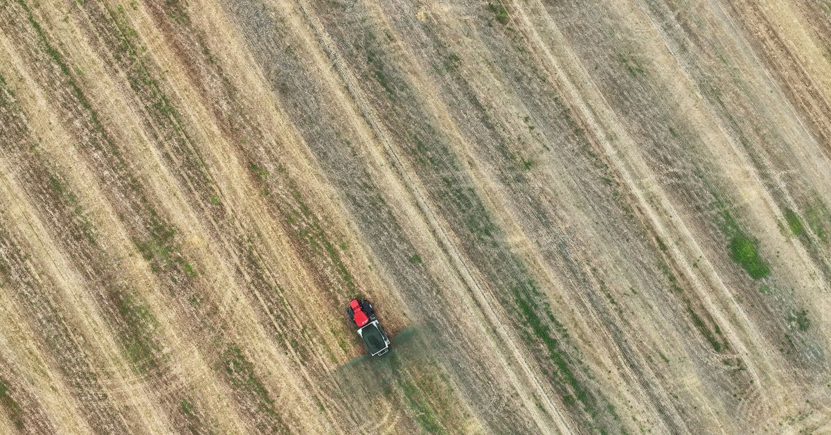 Featured image for "Rock Dust: A Promising Climate Solution Backed by Tech Giants and Startups"