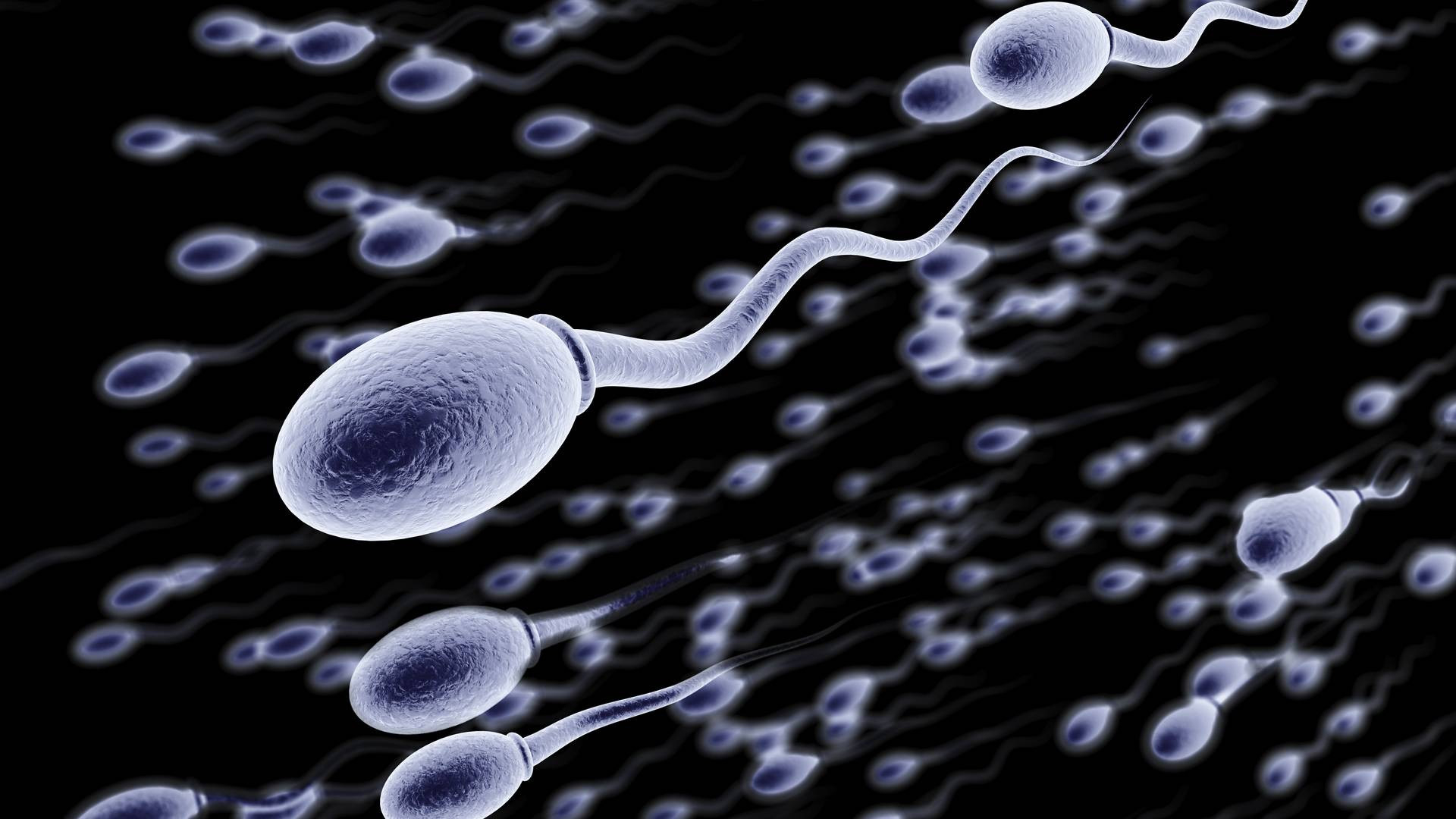 Featured image for Mobile Phone Use Linked to Decreased Sperm Count: New Study