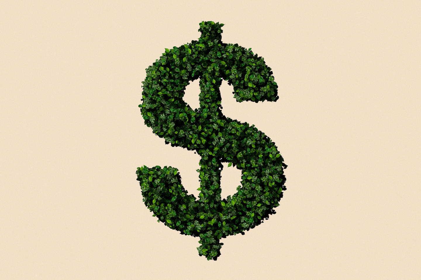 Featured image for "Last-minute opportunities for cash in clean energy before year-end"