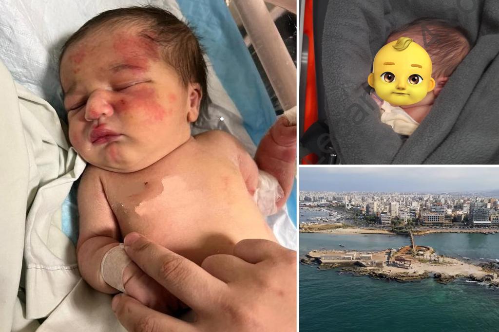 Featured image for Stray Dog Rescues Abandoned Baby from Trash in Lebanon