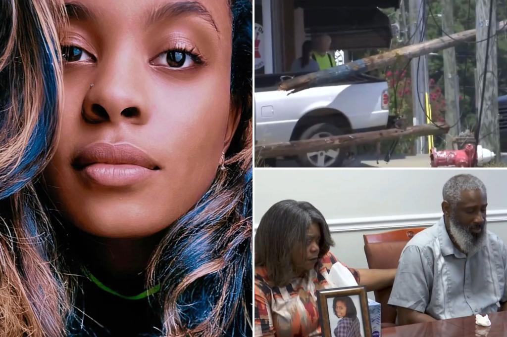 Family Demands $100M for Teacher Killed by Fallen Utility Pole