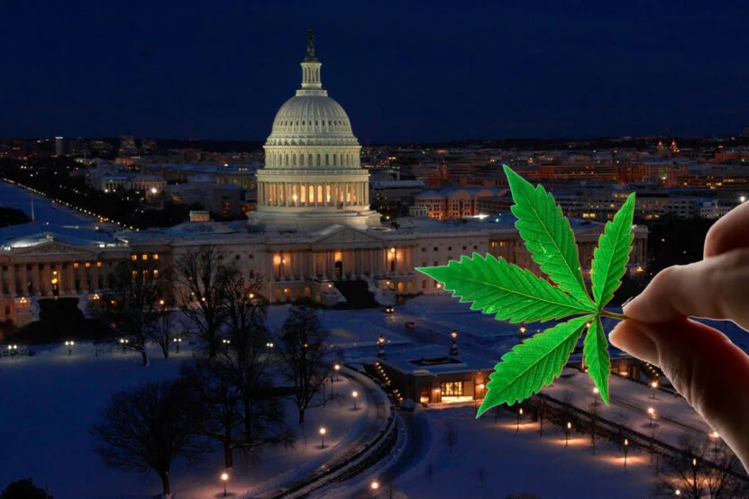 "DEA Rescheduling Rumors Propel Cannabis ETF to 8% Gain"