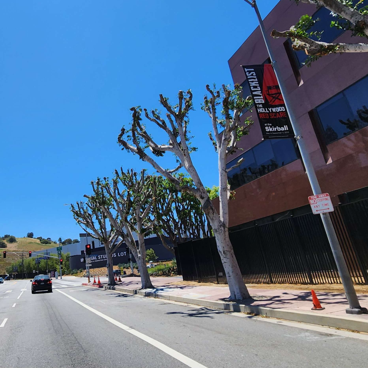 Universal Studios Fined $250 for Illegal Tree Cutting in Los Angeles