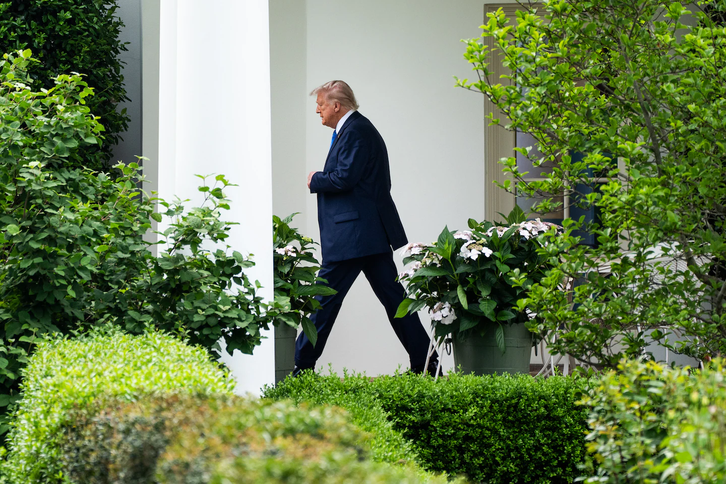 Featured image for Willkie Farr Partners Leave for Cooley Over Trump Deal