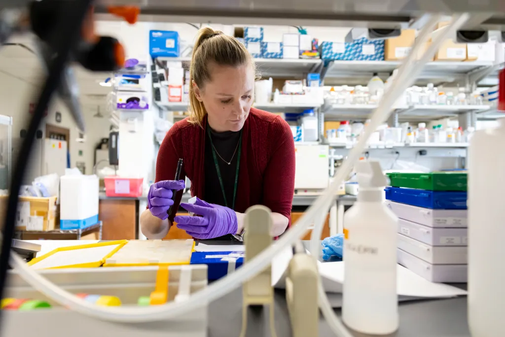 Featured image for Study Suggests Virus as Potential Trigger for Parkinson’s Disease