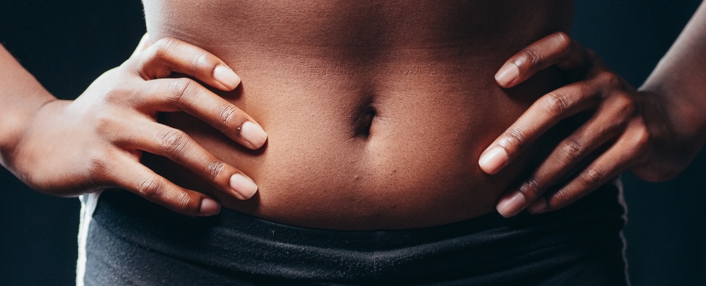 Featured image for The Gut-Brain Connection: How Stomach Signals Influence Mood and Mental Health