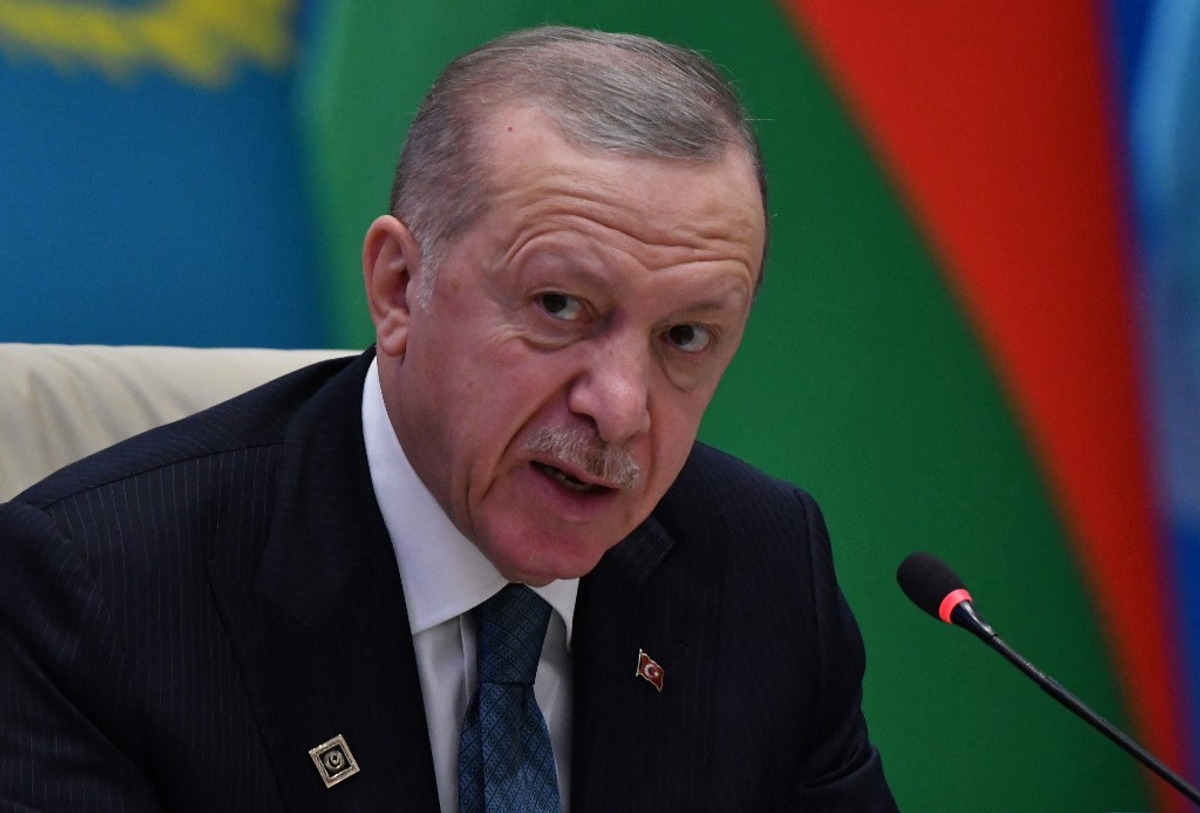 Erdogan Urges Trump-Led Diplomatic Solutions for Ukraine and Gaza Conflicts