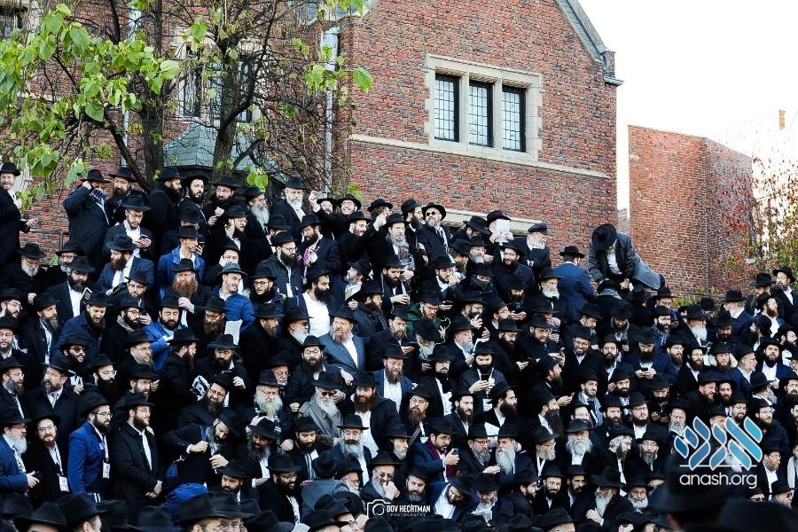Addressing the Dynamics of Shluchim Collaborations