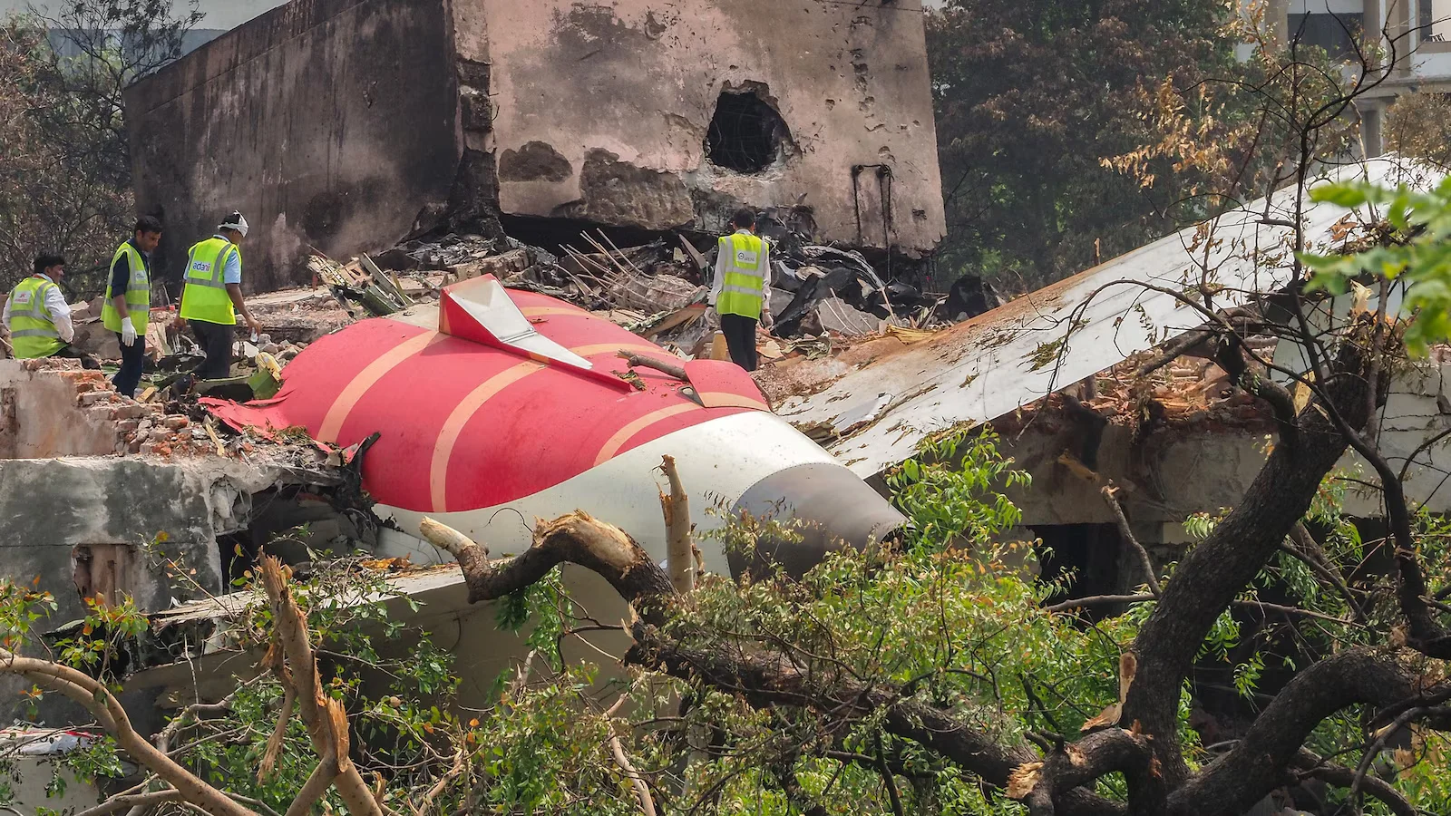 Featured image for Investigation Continues into Air India Crash and Survivor Story