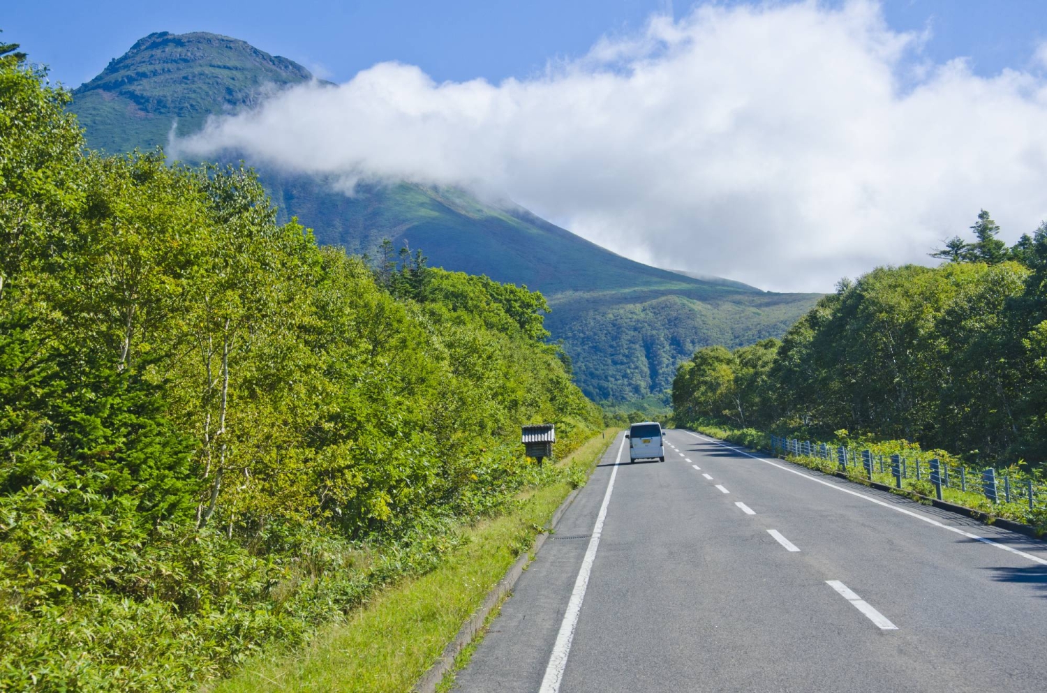 Featured image for Hiker Killed in Bear Attack on Mount Rausu, Hokkaido