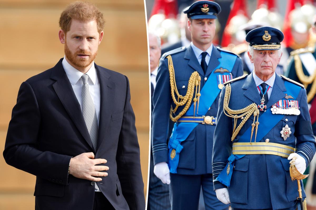 Prince Harry to be excluded from coronation meeting with Charles and William: expert