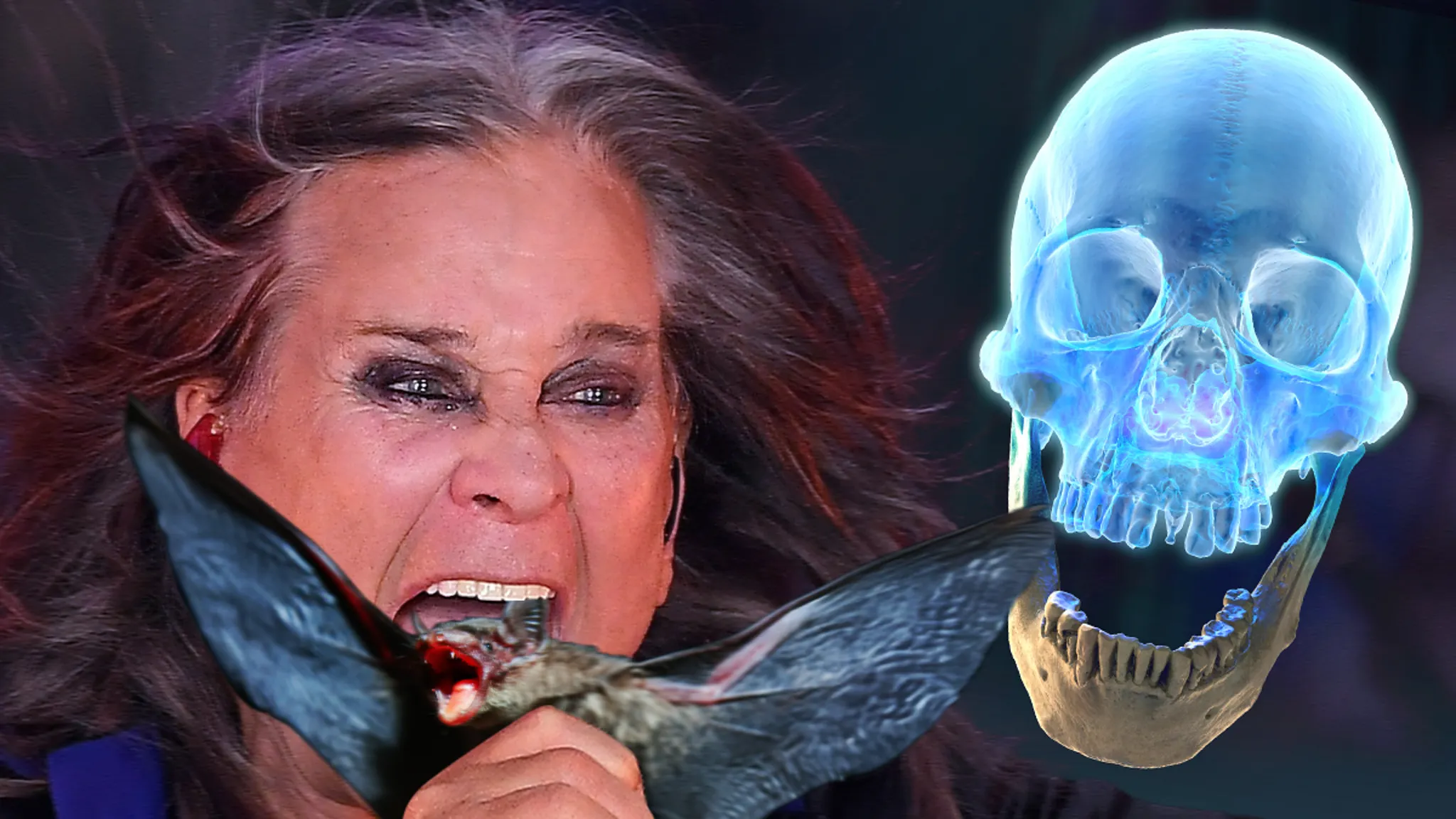 Featured image for Ozzy Osbourne's Jaw Strength Crucial for Bat Biting Incident