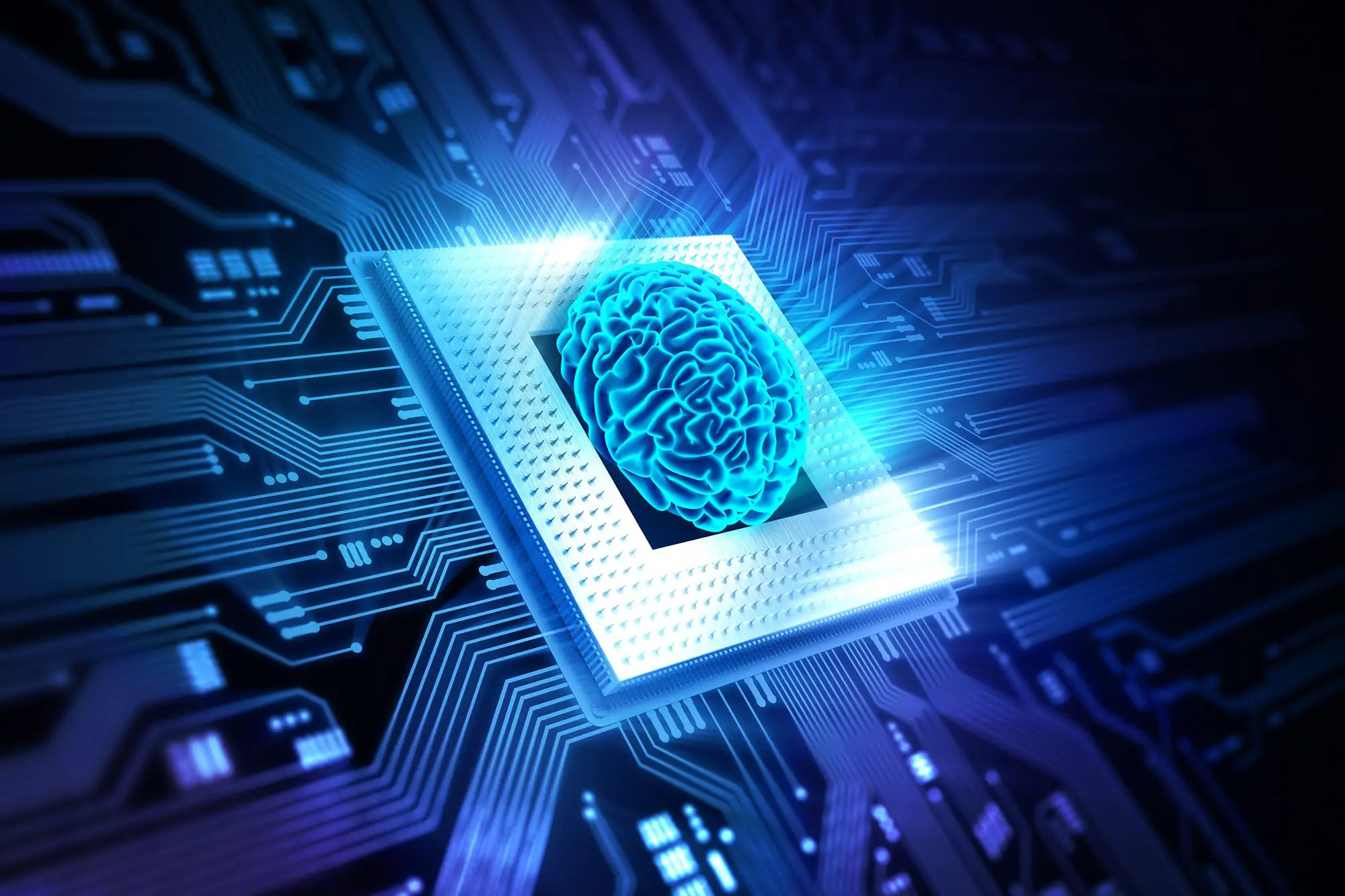 "Unleashing the Power of Video Games in Neuroscience Research"