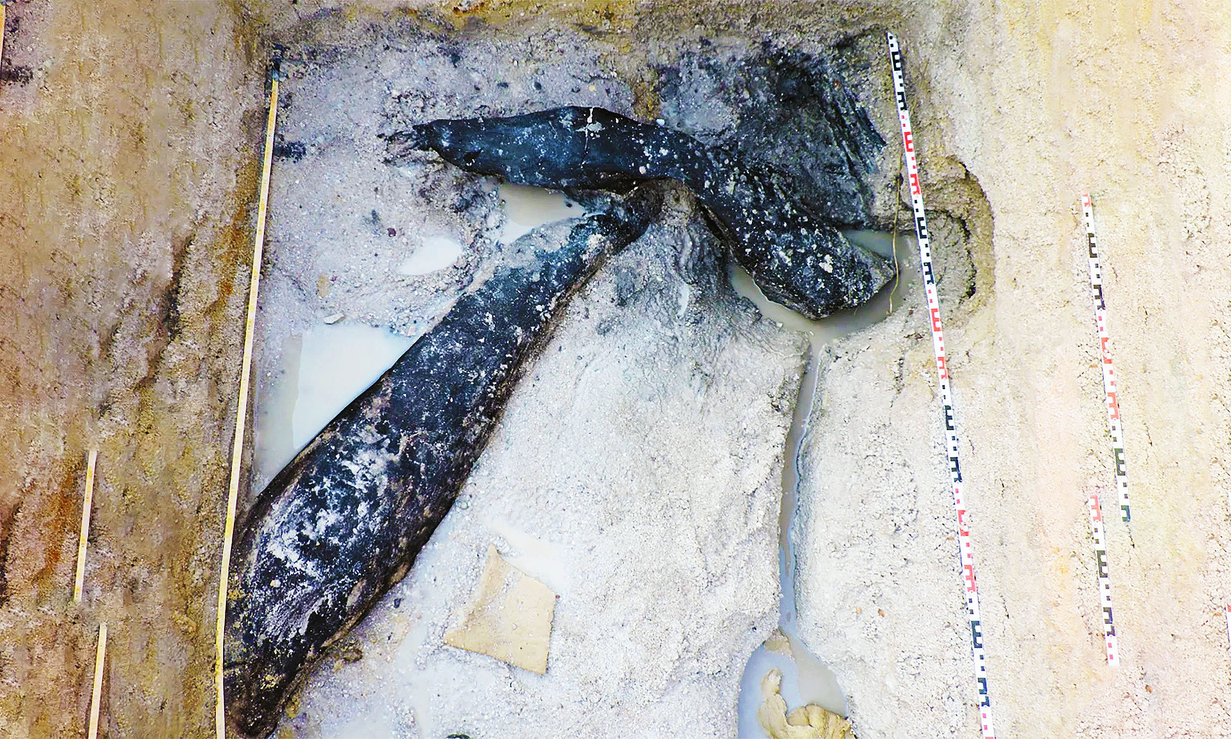 Featured image for Ancient Wooden Structure Challenges Human History Timeline